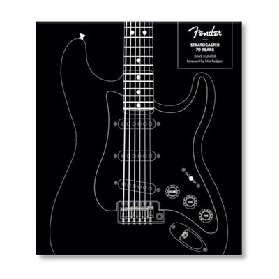 Fender Stratocaster 70 Years -  NEW Dave Hunter 2024