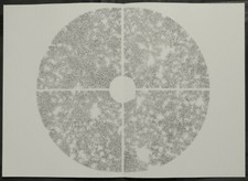 PAOLO COTANI litografia del 1972  dalla cartella METAFORA (39)