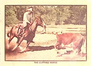 The Cutting Horse Cowboy Rancher Picture Print Vintage Nice Shot