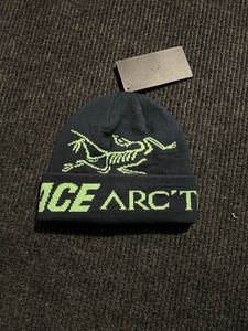 Palace Arc`teryx | eBay