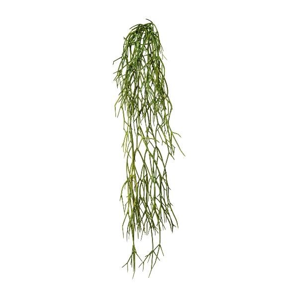 artplants Deko Sukkulente Rhipsalis Wunke, Buschig, HäNgend, GrüN, 60Cm-image