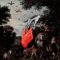 Chris Liebing - Burn Slow - Cd - G3Z