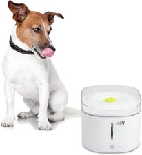 Fontanella per gatti fontana cani fontana d'acqua Purefect Pet