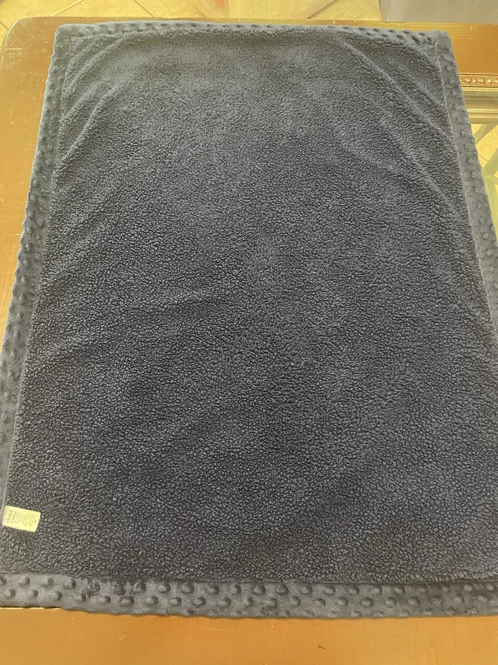 Carter Child of Mine Striped Dinosaur Blanket Blue Plush Minky Sherpa Dot Trim - Image 3 of 4