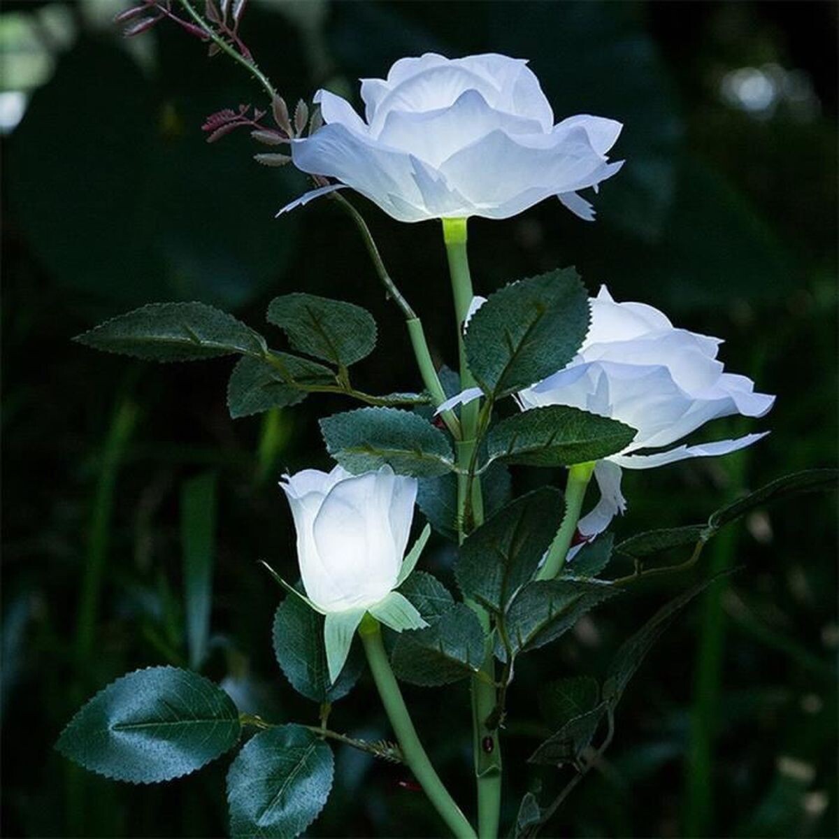 Fleurs rosier blanc solaires à 3 lampes étanches IP65 pour balisage d'allée autonome