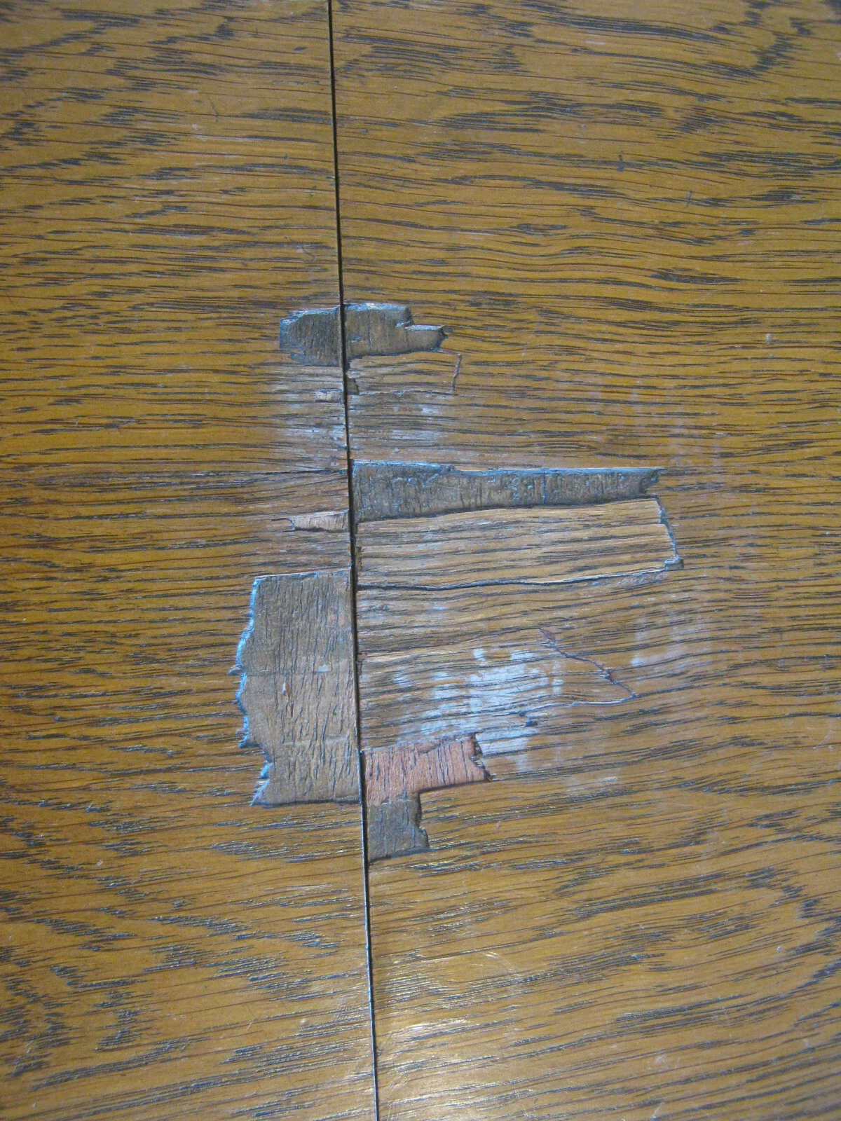 Bild 8 von 12