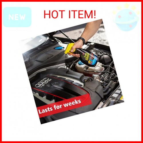 Stoner Car Care Trim Shine Protectant 22Ounce 793165920343 eBay