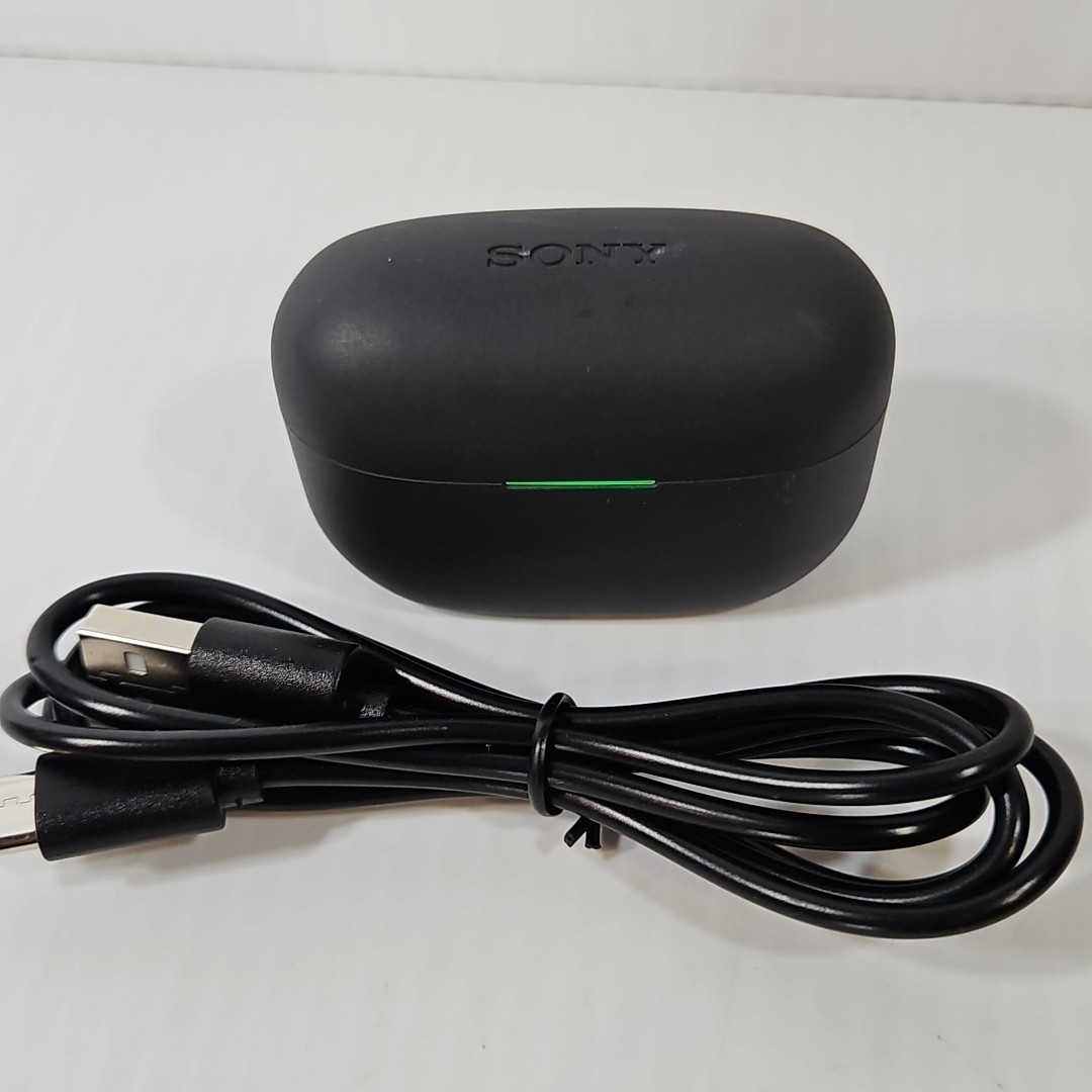 Sony WF-LS900 LinkBuds Wireless Charging Case Black | eBay