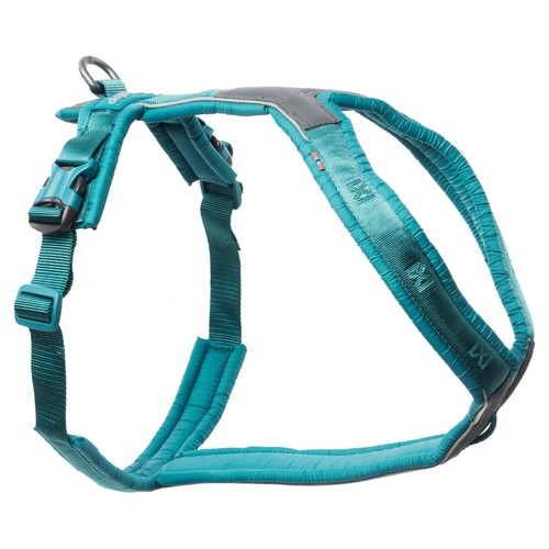 Harnais pour Chien Company of Animals Turquoise XL 50-78 cm