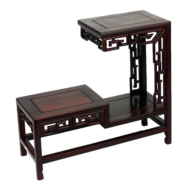 Planta de piedra se encuentra