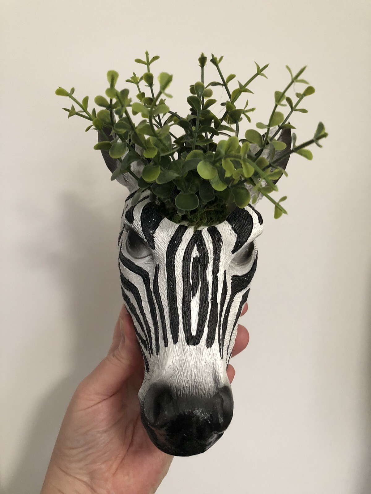 Zebra Head Wall Hanging eBay