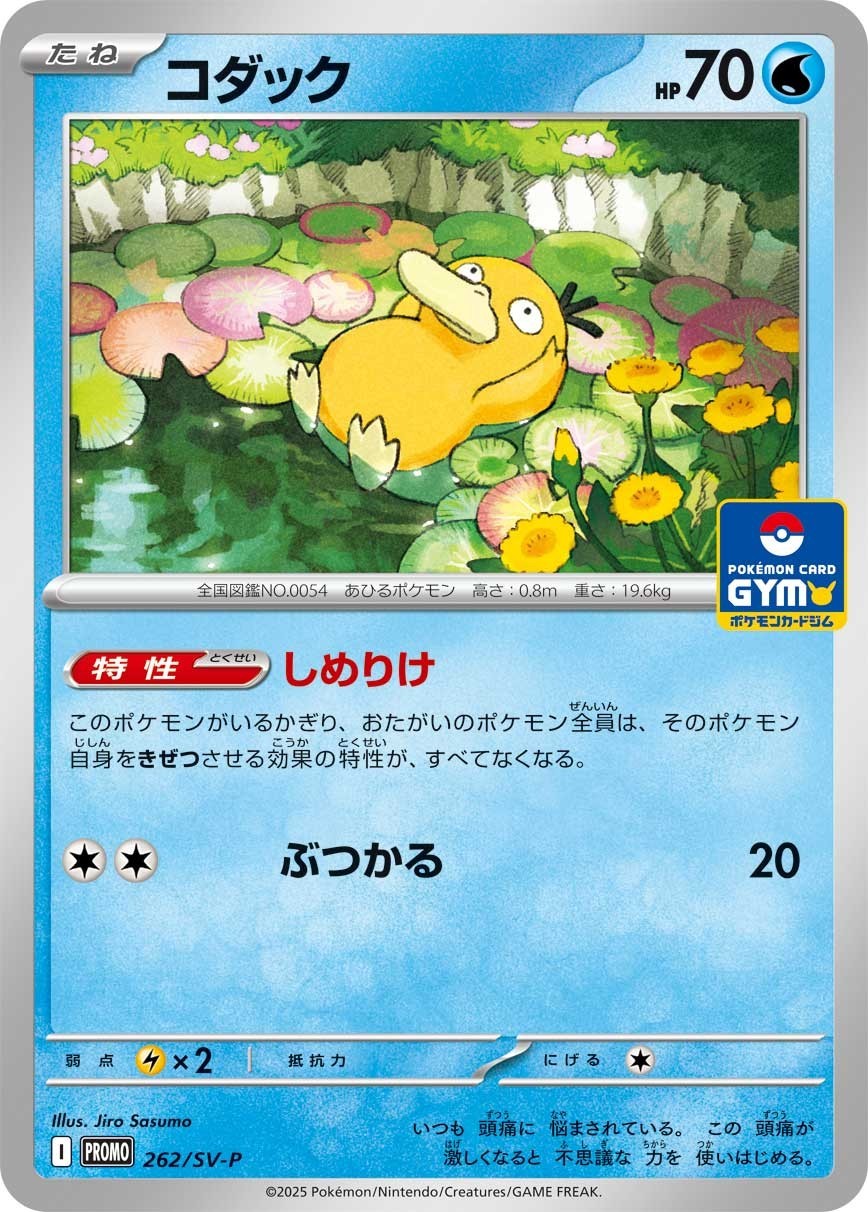 Psyduck  262/SV-P Gym Promo Pokemon Card Japanese Scarlet & Violet JP