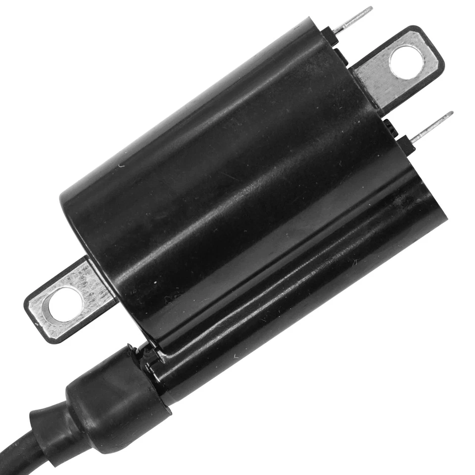 Bobina de encendido para Arctic Cat 250 2006 2007 2008 2009 Foto 4 de 4