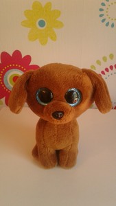 dachshund beanie boo