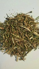 RUDA M xima Calidad  Ruta graveolens 8OZ RUE HERB Good Quality MEXICO.