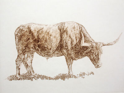 Chad Neff ''Grazing'' Signed & Numbered Art Etching, longhorn bull, MAKE AN OFFER!