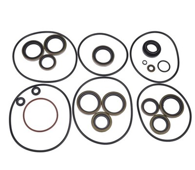 DUDSN Gearcase Lower Unit Seal Kit 5006373 Compatible with Johnson Evinrude... 