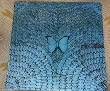 1974 - SANTANA - BORBOLETTA - VINILE 12" 33 - CBS 69084