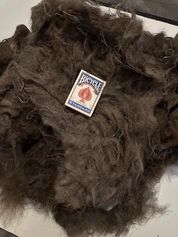 1lb 8.3oz Very Veggie Unwashed Fiber Llama? Alpaca? Natural Spinning Fiber (B28) - Image 2 of 4