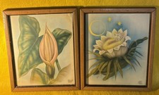 Fotos enmarcadas con estampado de flores de cala y lirio de agua en mal estado aerógrafo de colección años 40 50