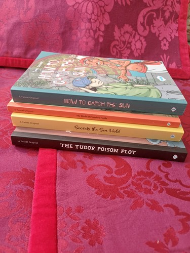 Twinkl Book Bundle - NEW - Foto 3 di 4