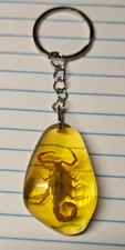 Scorpion in Amber Resin Keychain Unique