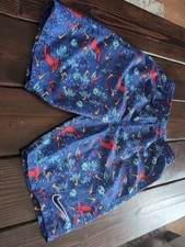 Boys Nike Swim Trunks Size XL