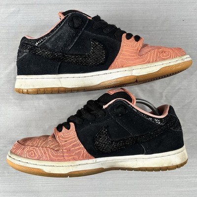 Premier x Nike Dunk Pro SB Low Fish Ladder Men s Size 9 Skate Shoes 313170-603