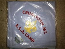 Boy Scout BSA Camp Crumhorn Mt. Camper Otschodela New York Council Neckerchief