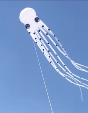 new 3D eyes 23m white 1 Line Stunt Parafoil Octopus POWER Sport Kite outdoor toy