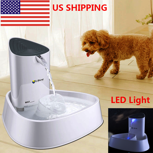 electric pet fountain