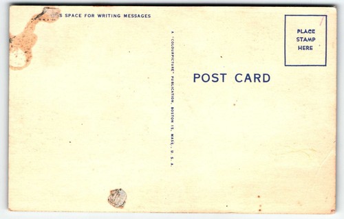 Postcard The Sausage Tree Miami Florida FL Linen UNP - Picture 2 of 2