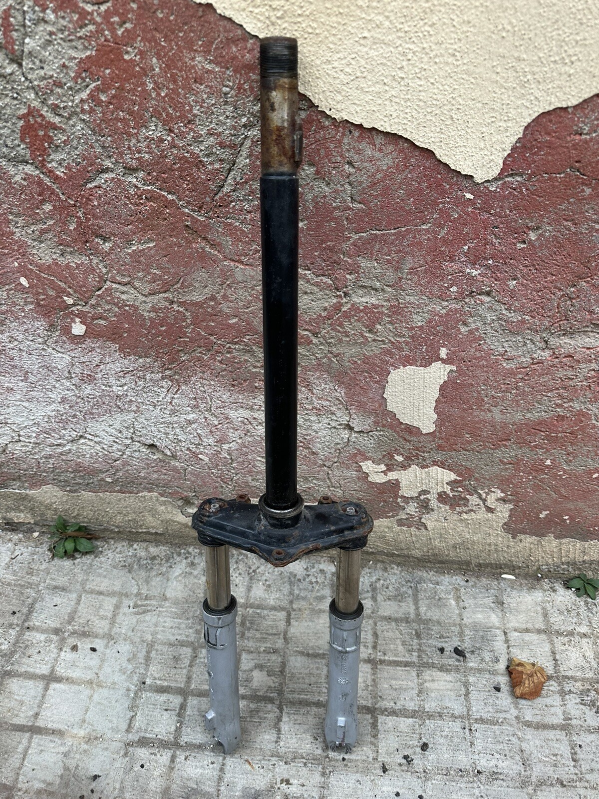 Foto 1 di 3