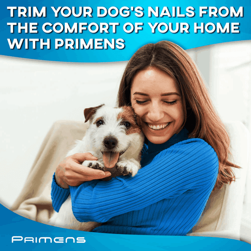 Professional Dog Nail Grinder Replacement Head (Pack of 3 Bits) Diamond Tip - Picture 7 of 7