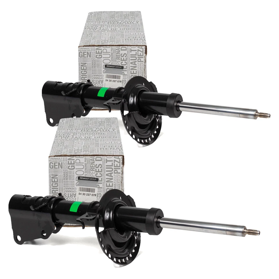 2x ORIGINAL Renault Öldruck Stoßdämpfer GRAND / KANGOO / Rapid vorne 543022707R