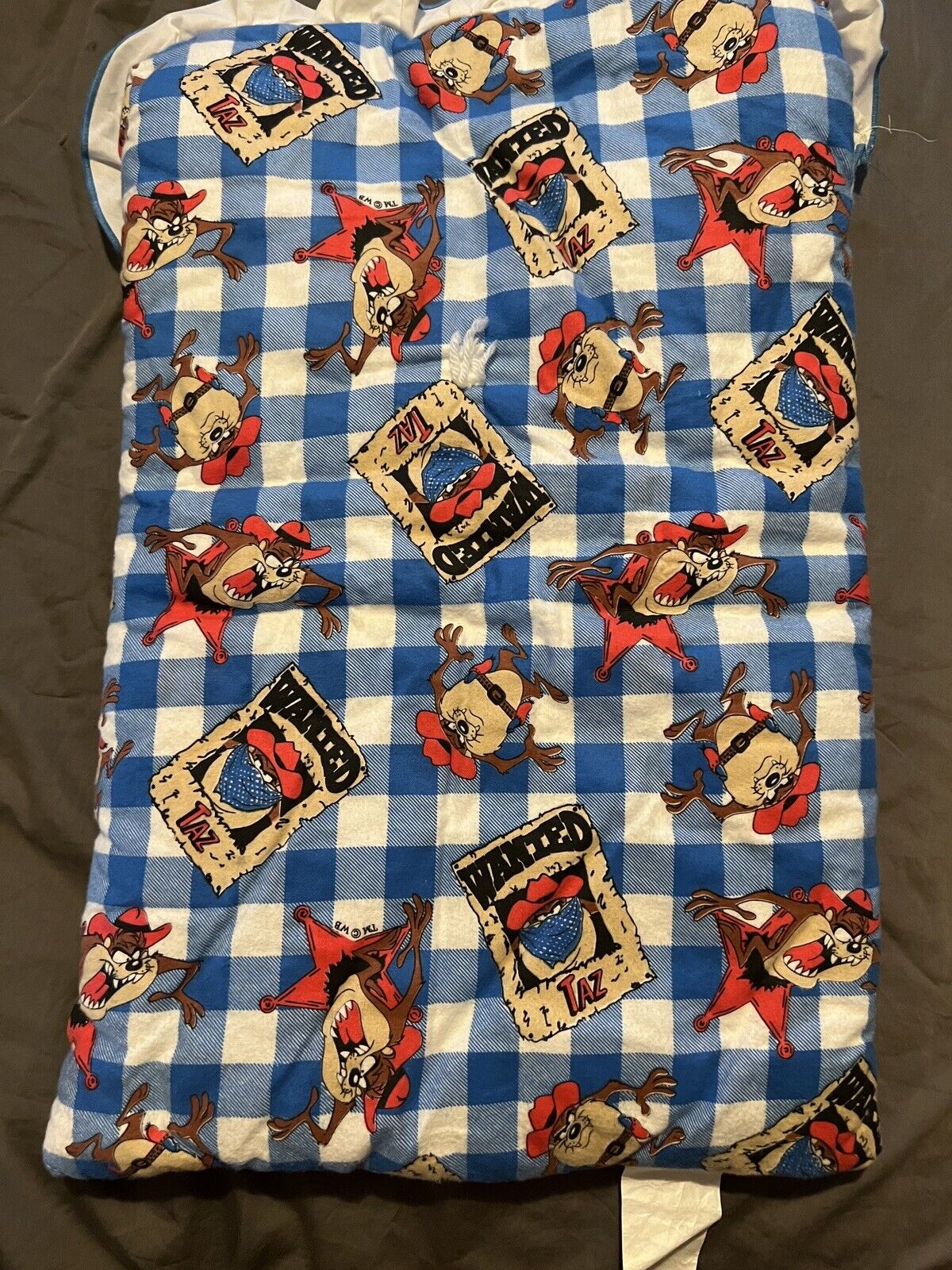 Picture 3 of 6