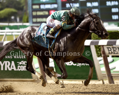 Honor Code 2015 Metropolitan Handcap Photo 8'' x 10 - 24'' x 30'' 