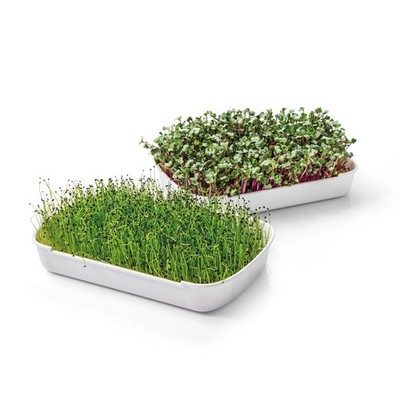 Tescoma Anbauset für Microgreens SENSE