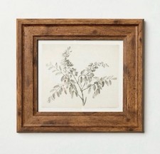 8"x9" Sketched Branches Wall Art Framed - Hearth  Hand  with Magnolia