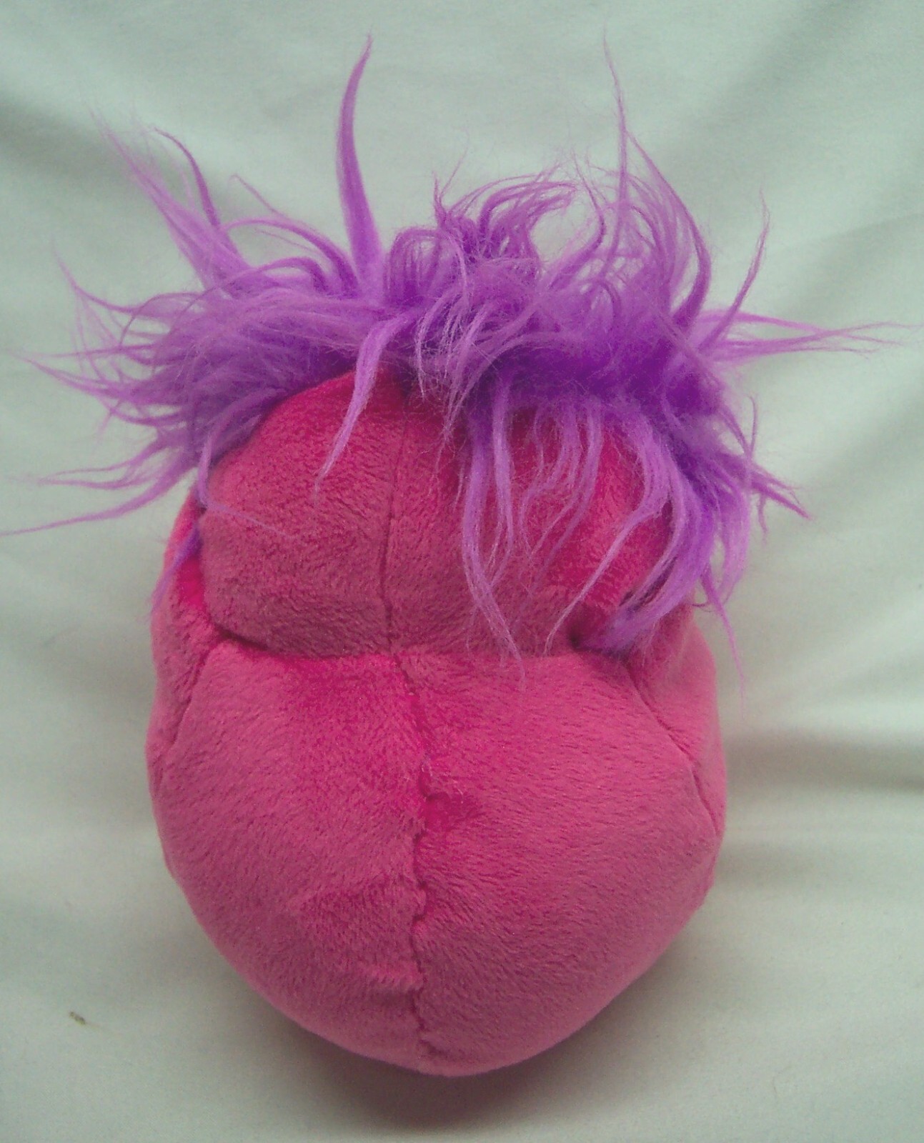 Picture 5 of 6