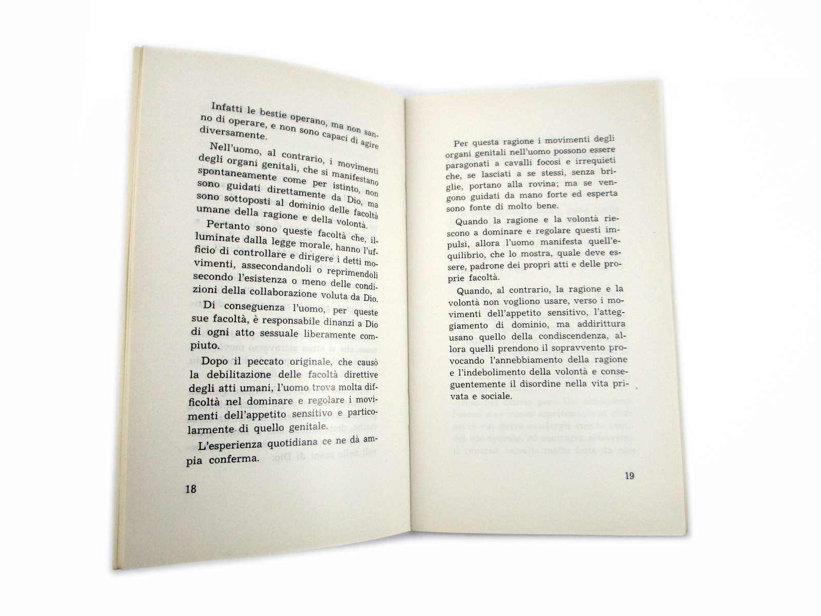 Foto 2 di 2