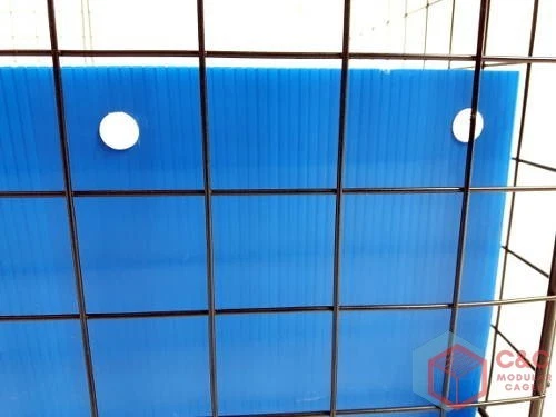 Coroplast tray for cheap guinea pig cage