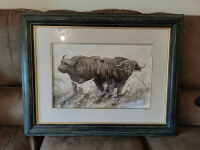 Riesiges Original Aquarell Gemälde L.S. GANDINI 'Hörner am Krüger Wasserbüffel