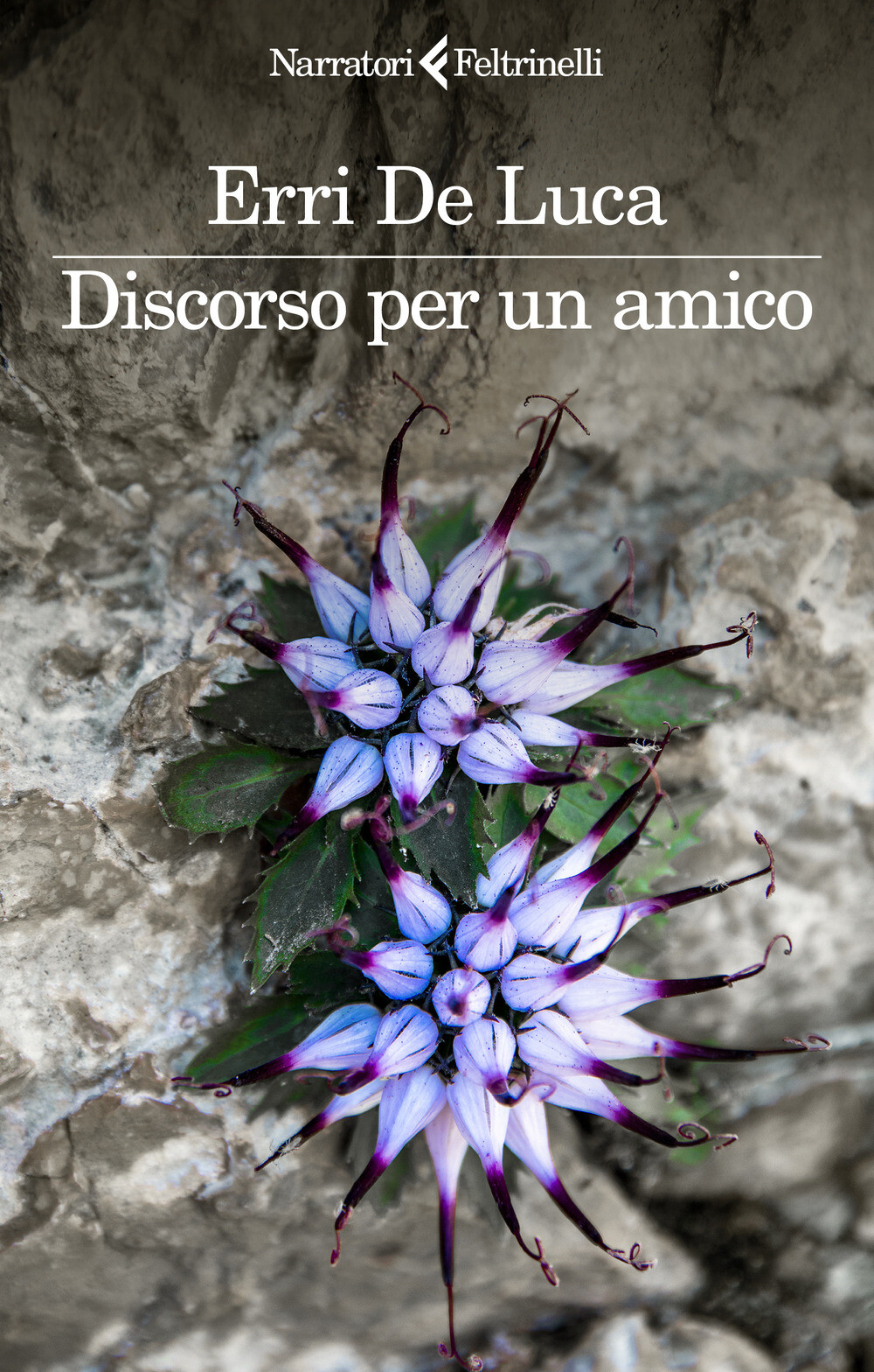 Libri Erri De Luca - Discorso Per Un Amico