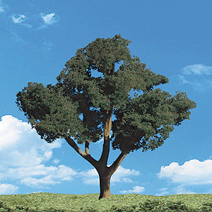 Woodland Scenics 3548 All Scale WCT Cool Shade 1-1/4 a 2" (3,7 a | Zustand: New