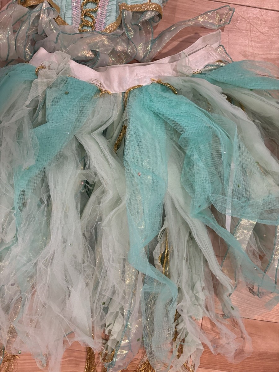 Fairy Custom Costume - Jacquie View 3