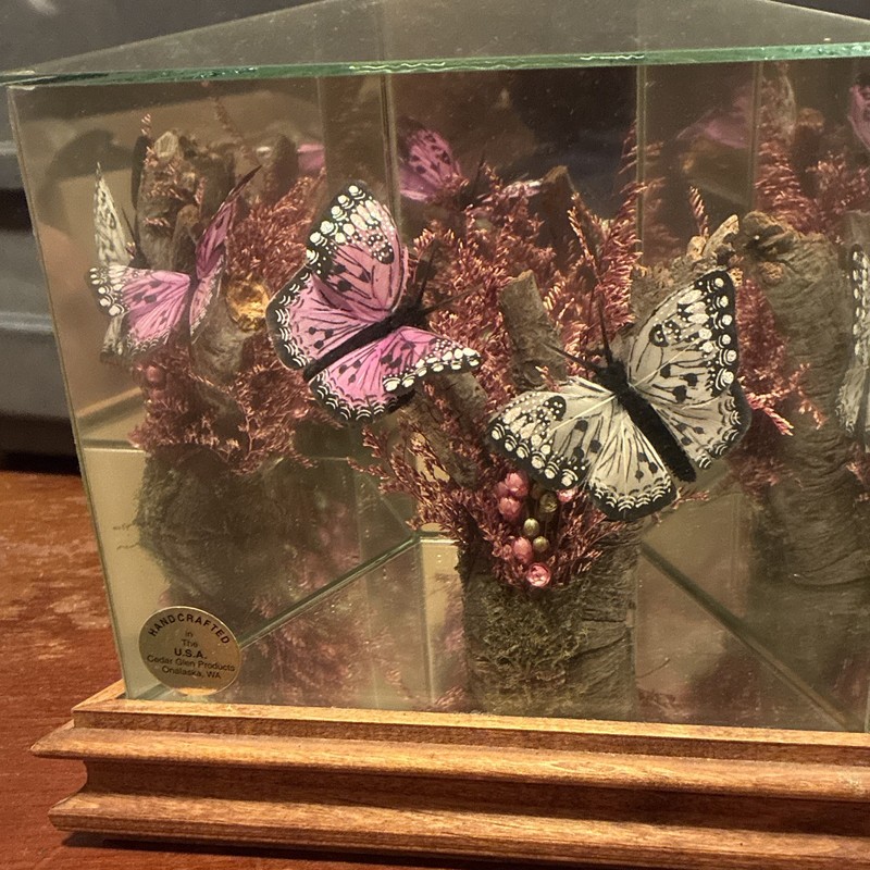 Handmade Butterfly Display Case Glass & Wood Box with Wood Base