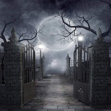 8x8 ft Halloween Vinyl Photography Backdrop Moon Night Photo Background