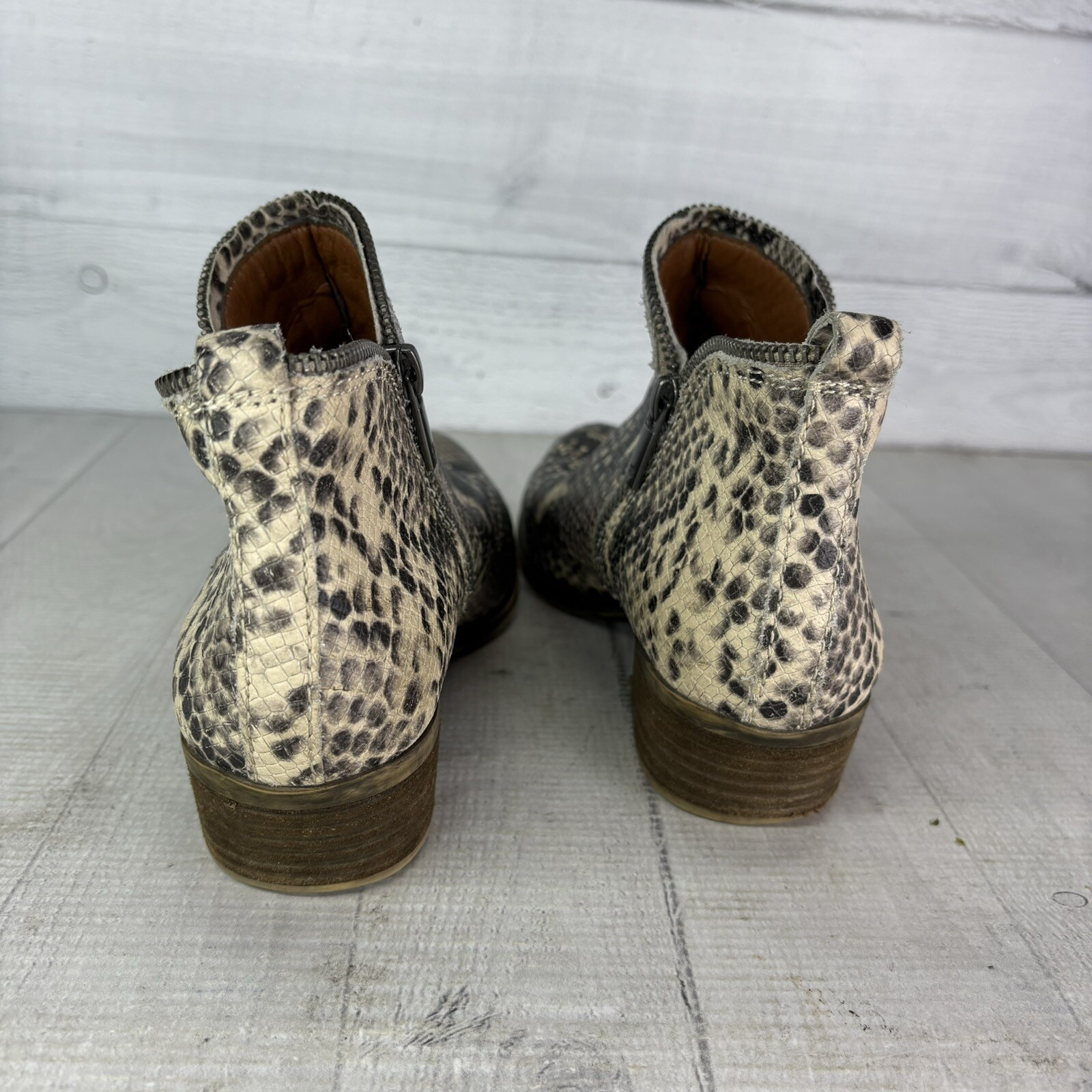 Lucky Brand  BARTALINO Python Snake Double Zip Bo… - image 9