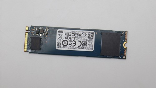 Lenovo Carbon P14s 4 X1 5 X1 11th X1 10th Solid State Drive SSD 256GB 5SS1D71689 - 第 1/1 張圖片